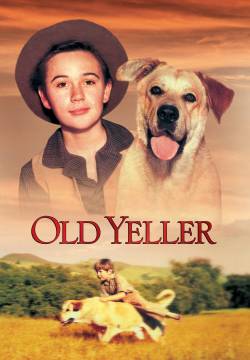 Old Yeller - Zanna gialla (1957)