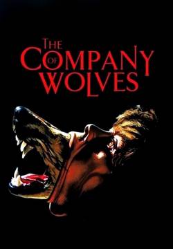The Company of Wolves - In compagnia dei lupi (1984)